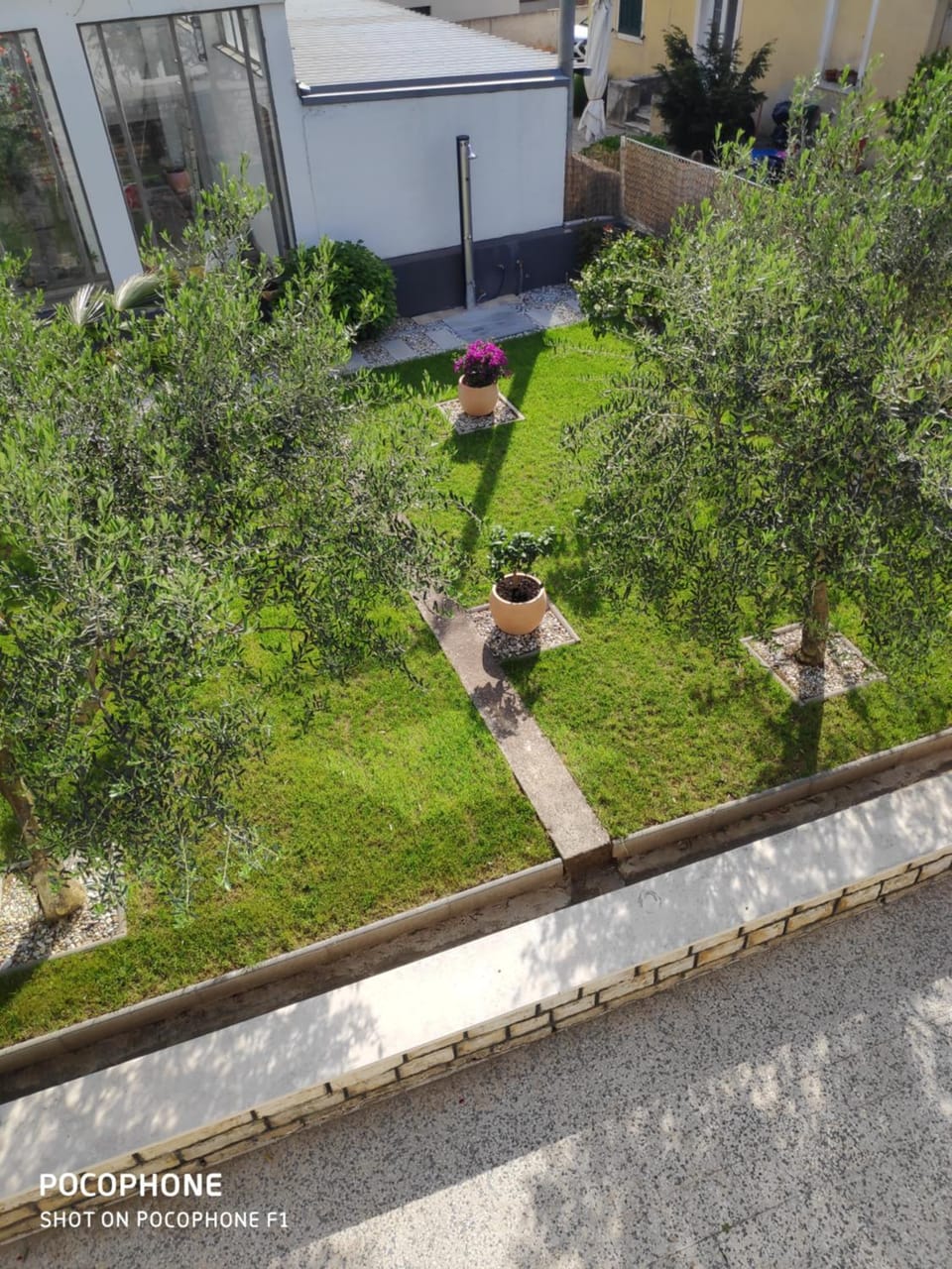 Garden view