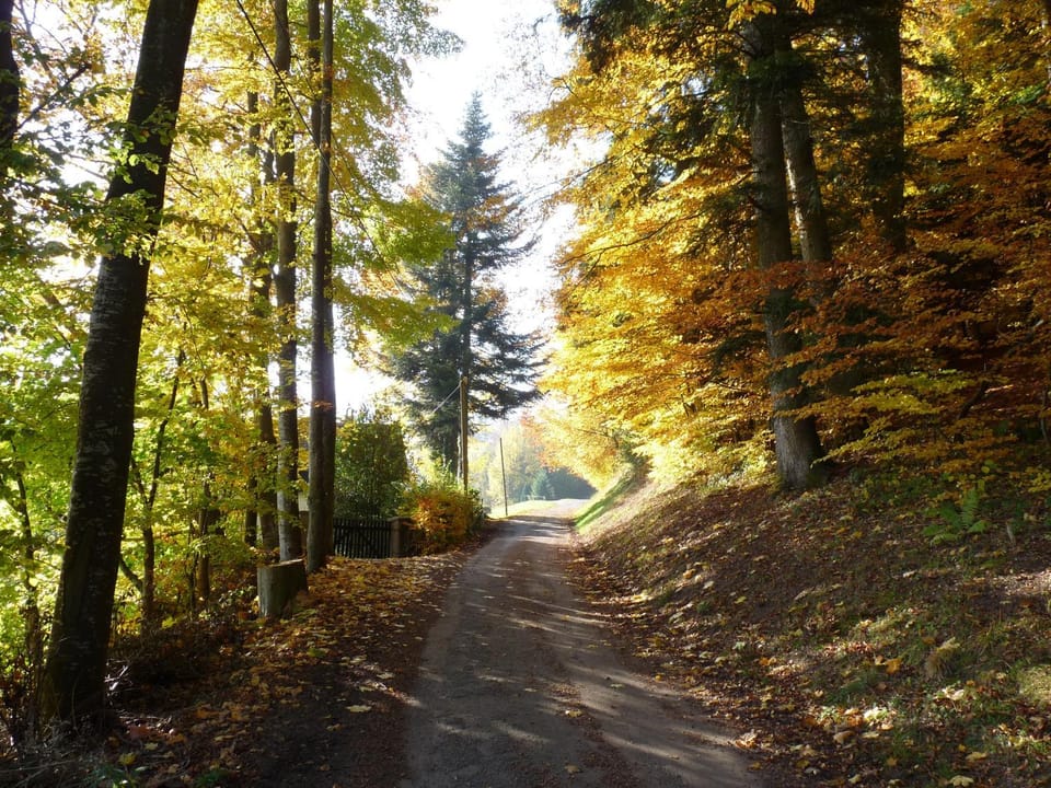 Cycling