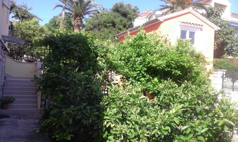 Mladen Apartment in Mali Losinj