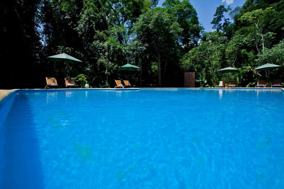Day, Natural landscape, Solarium, Pool view, Swimming pool, Swimming pool, sunbed
