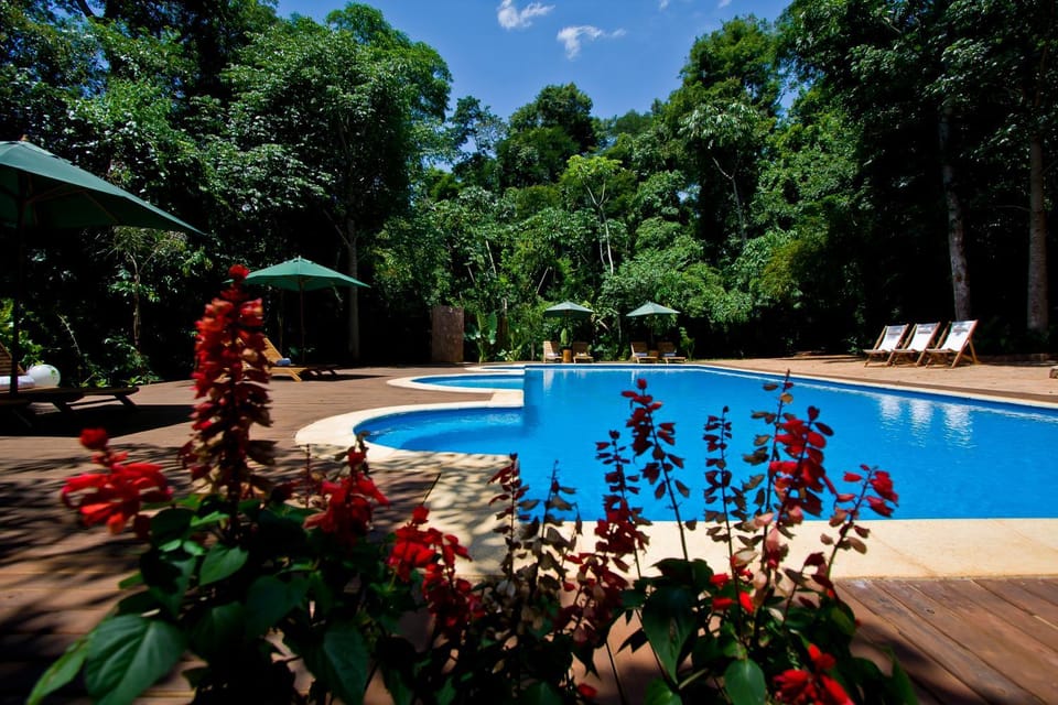 Day, Solarium, Pool view, Swimming pool, Swimming pool, sunbed