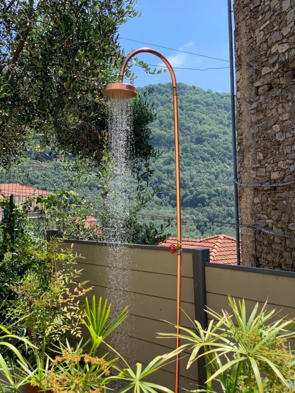 Shower, Garden