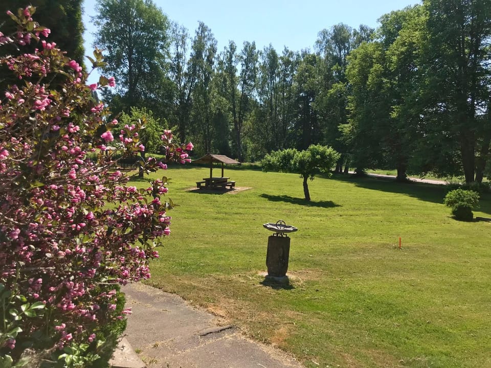Patio, Garden, Garden, Garden view