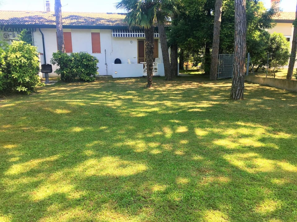 Patio, Garden, View (from property/room), Animals, Pets, Garden view