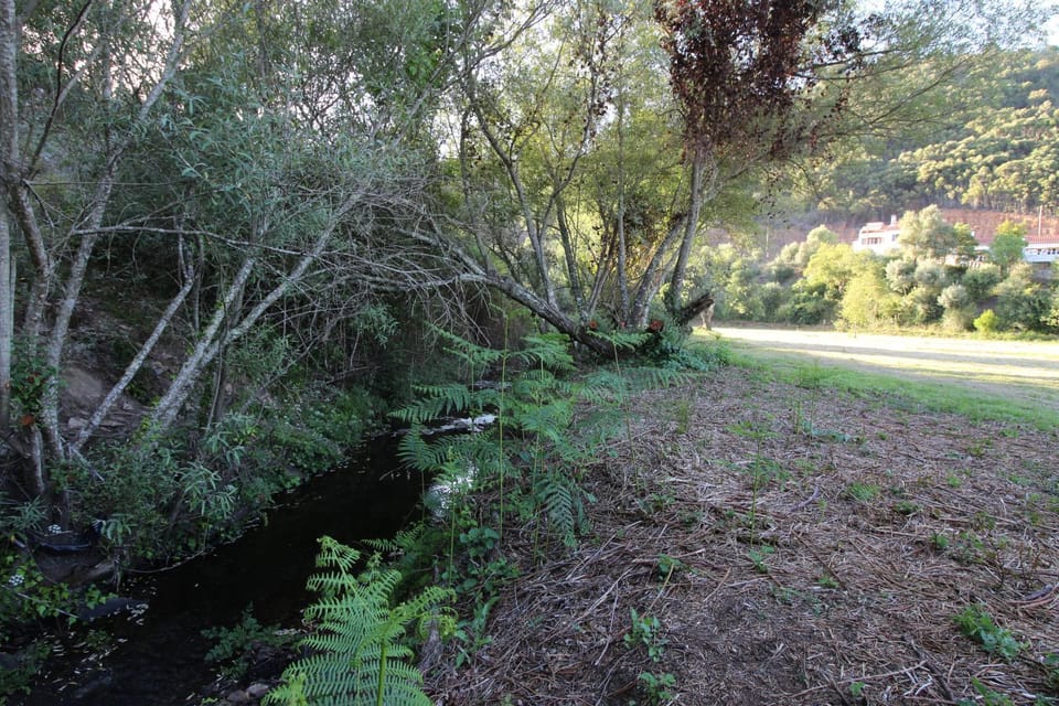 Garden, River view