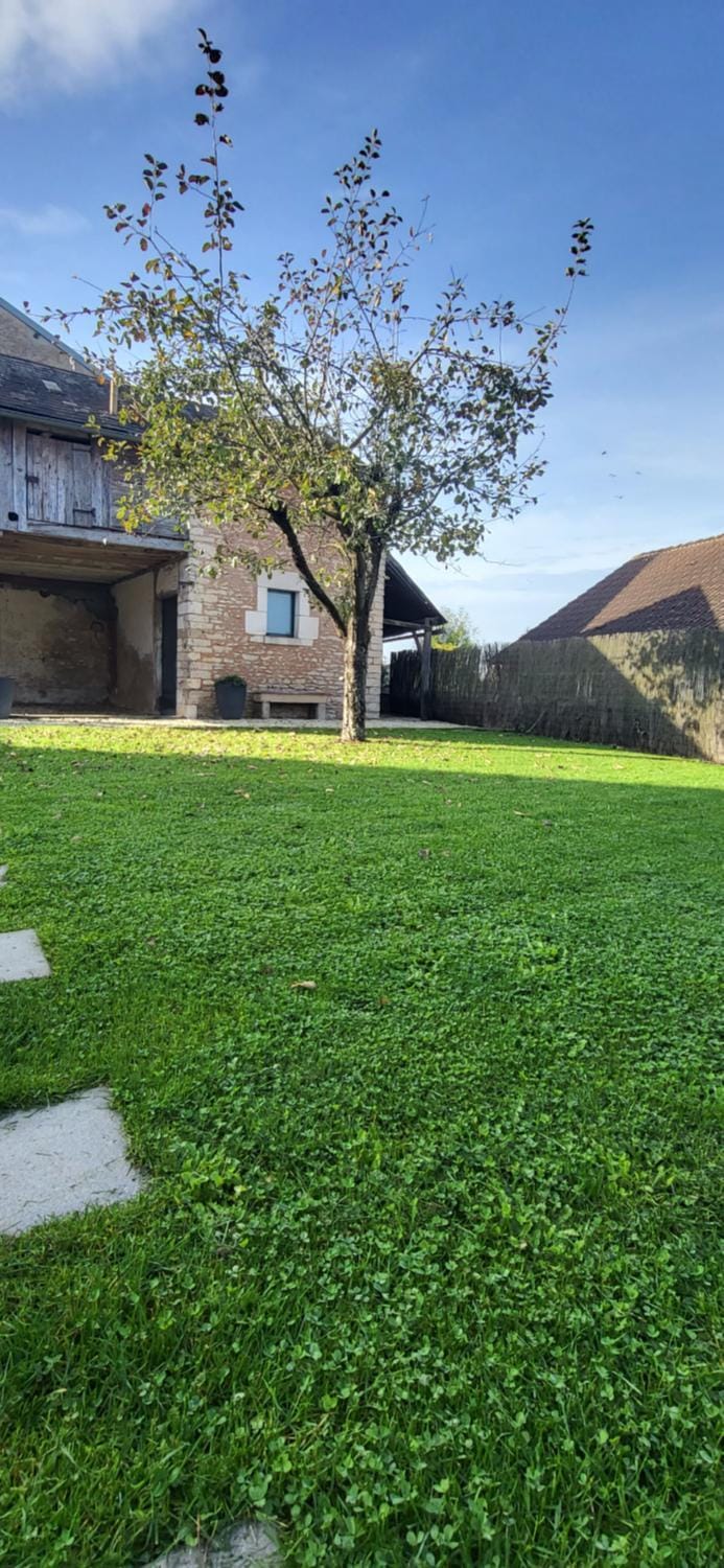 Property building, Natural landscape, Garden, Garden view