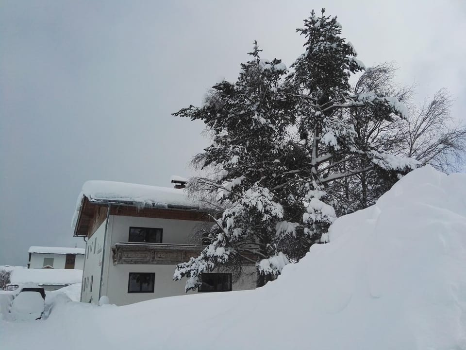 Property building, Winter