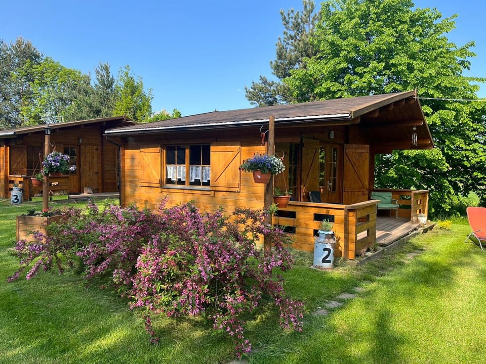 Property building, Garden, Garden view