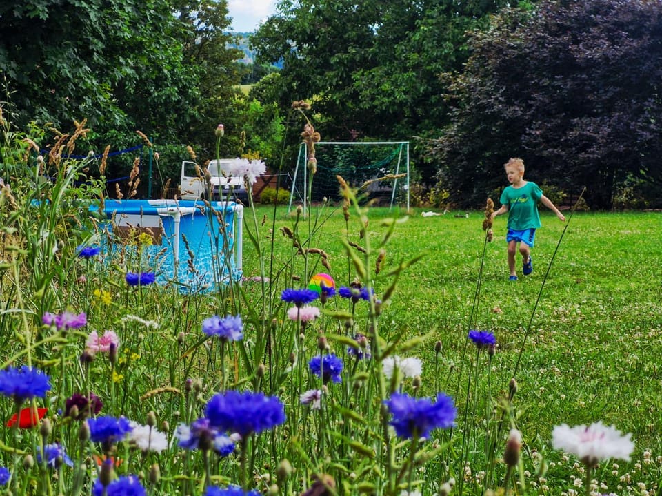 Domki Radków - Skibin Nature lodge in Lower Silesian Voivodeship