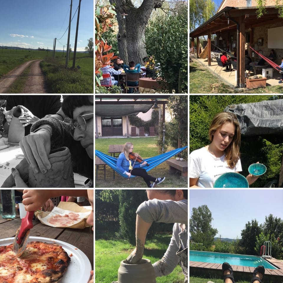 People, Activities, Other, Animals, group of guests