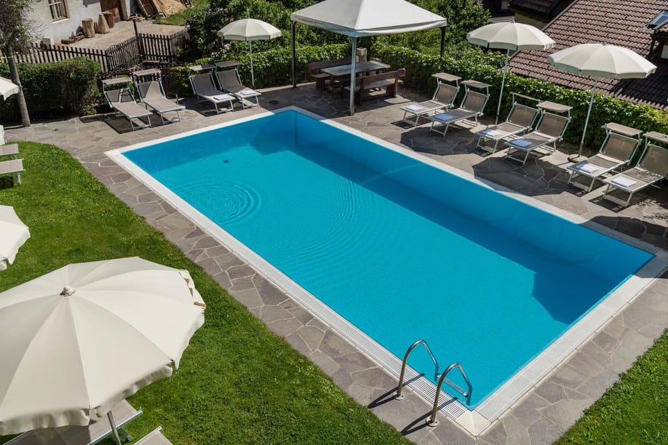 Day, Garden, Swimming pool, sunbed