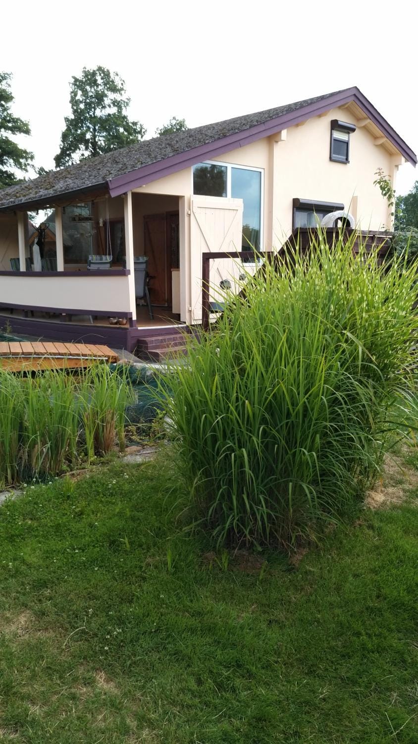 Property building, Garden view