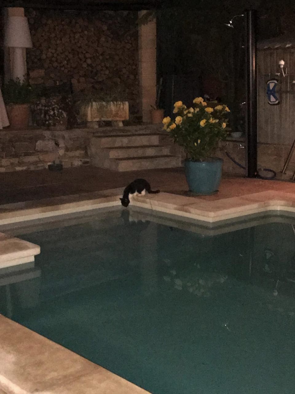 Swimming pool