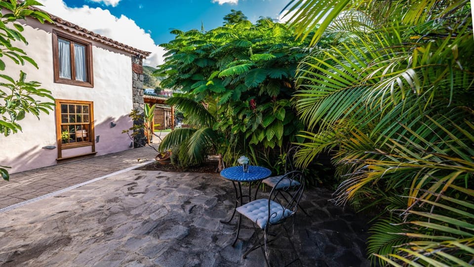 Patio, Garden, Garden view