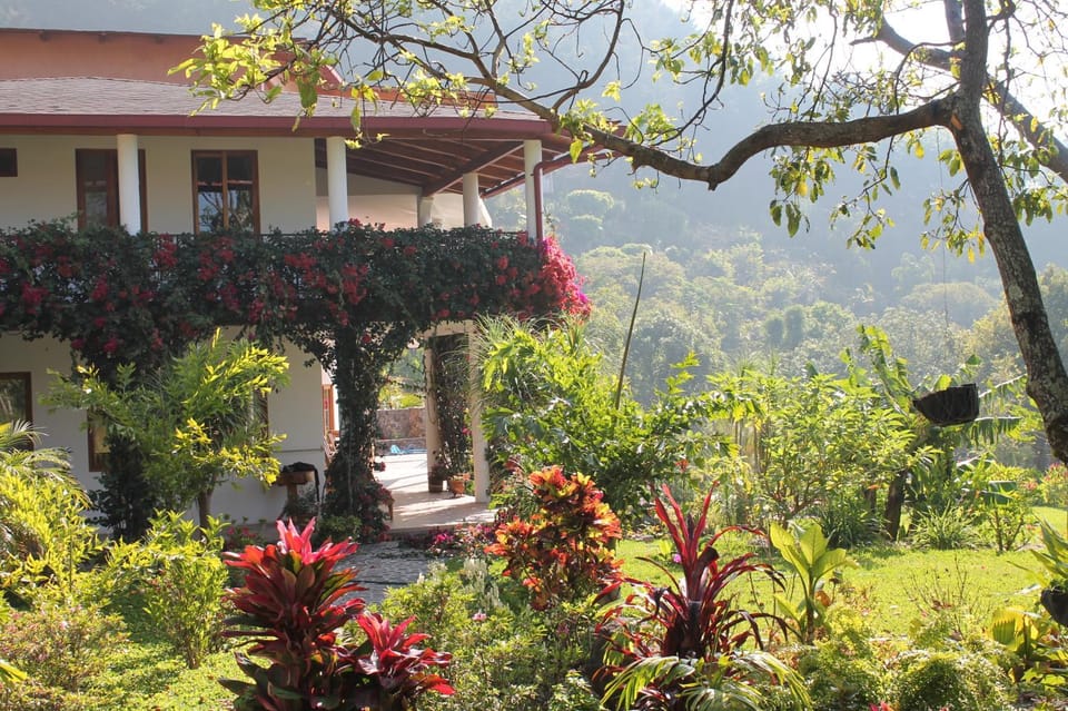 Property building, Facade/entrance, Garden, Balcony/Terrace