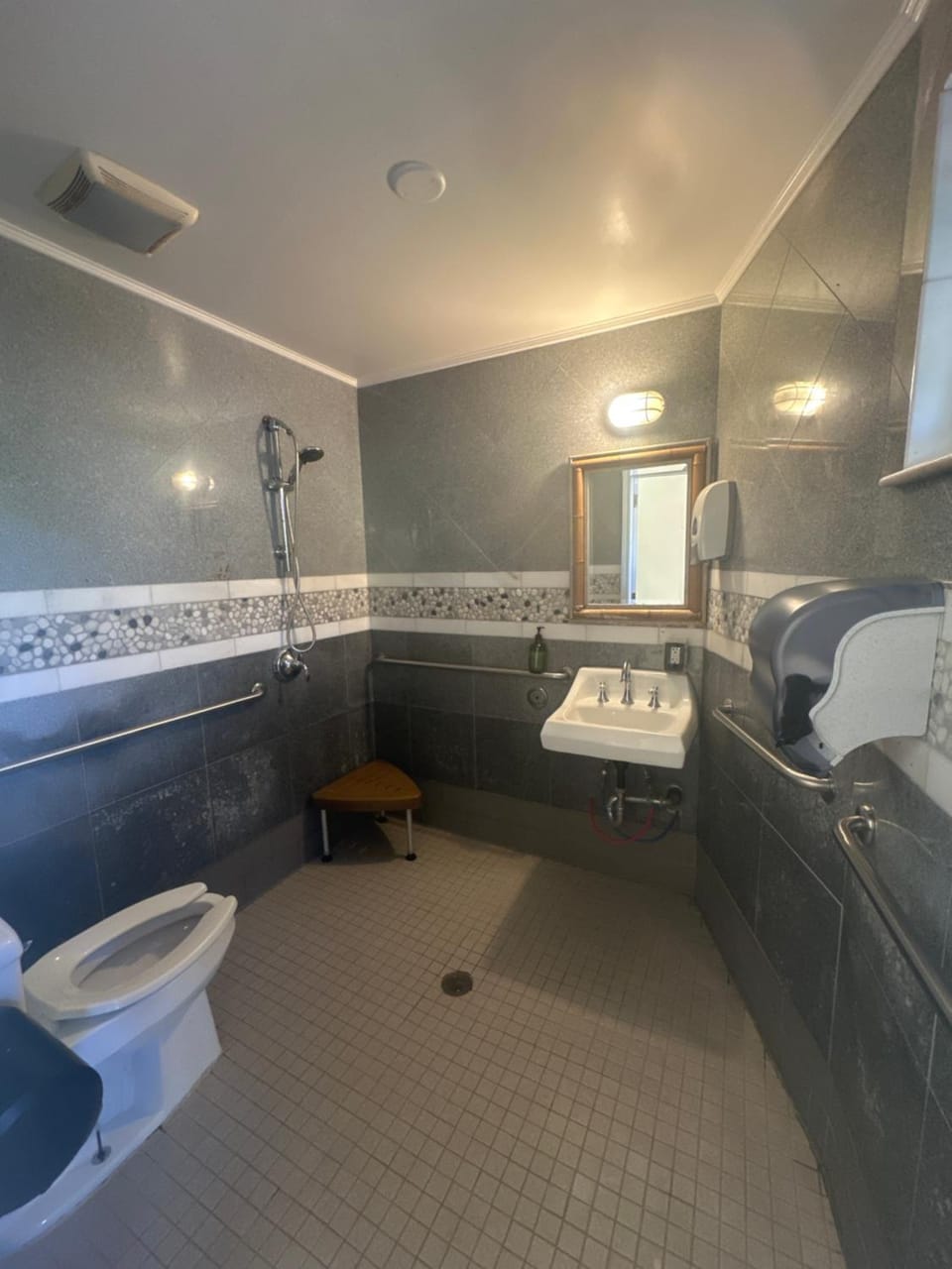 Shower, Toilet, Bathroom
