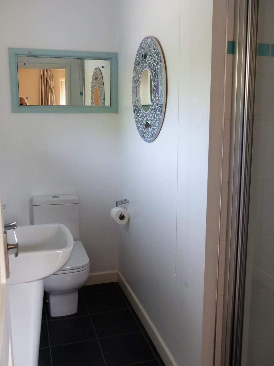 Toilet, Other