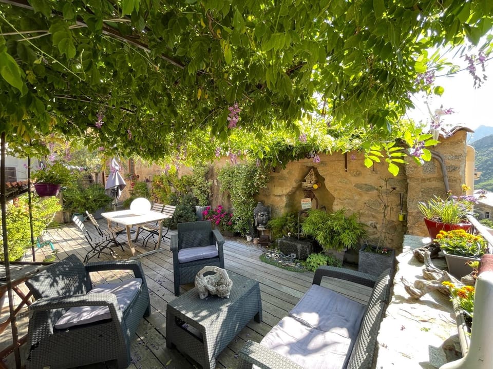 Patio, Spring, Day, Garden, Living room, Seating area, Dining area, Garden view
