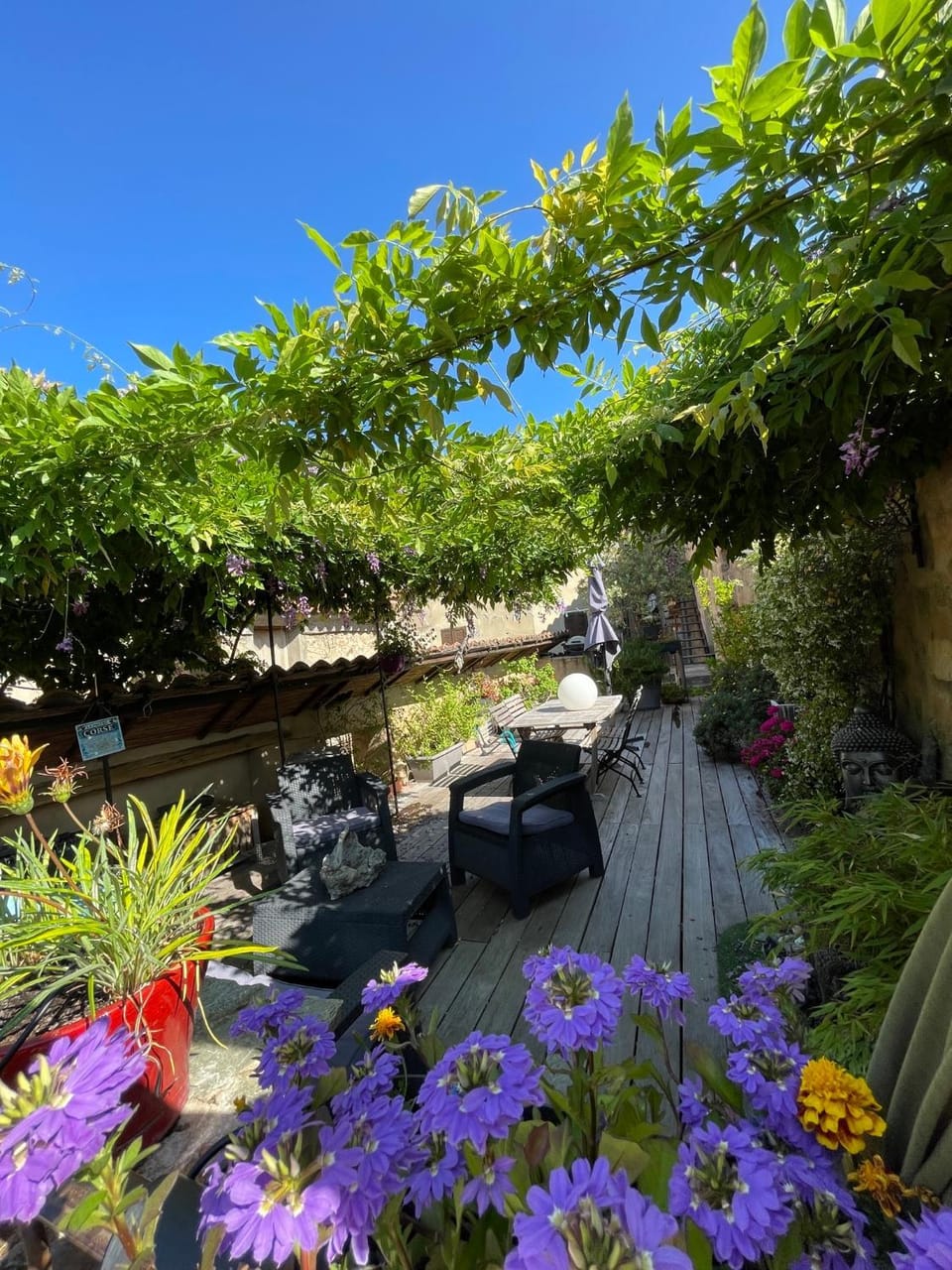 Patio, Spring, Day, Garden, Dining area, Garden view