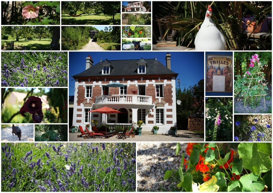 Facade/entrance, Facade/entrance, Bird's eye view