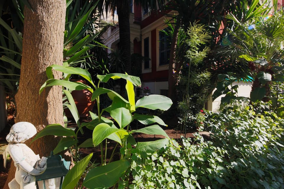 Garden, Garden view