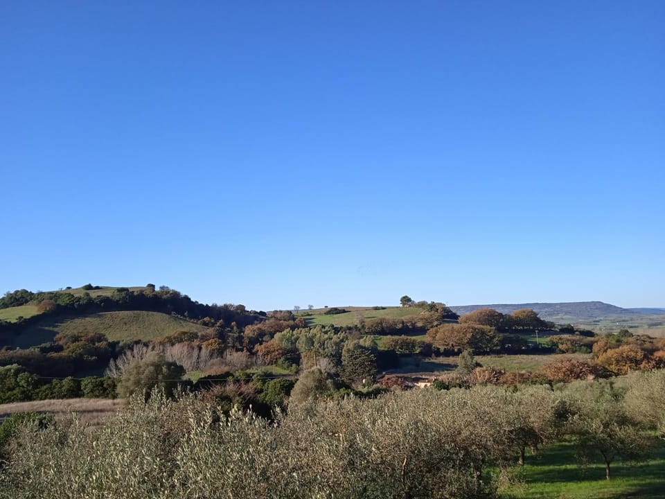 B&B PIBITZOI Bed and Breakfast in Sardinia