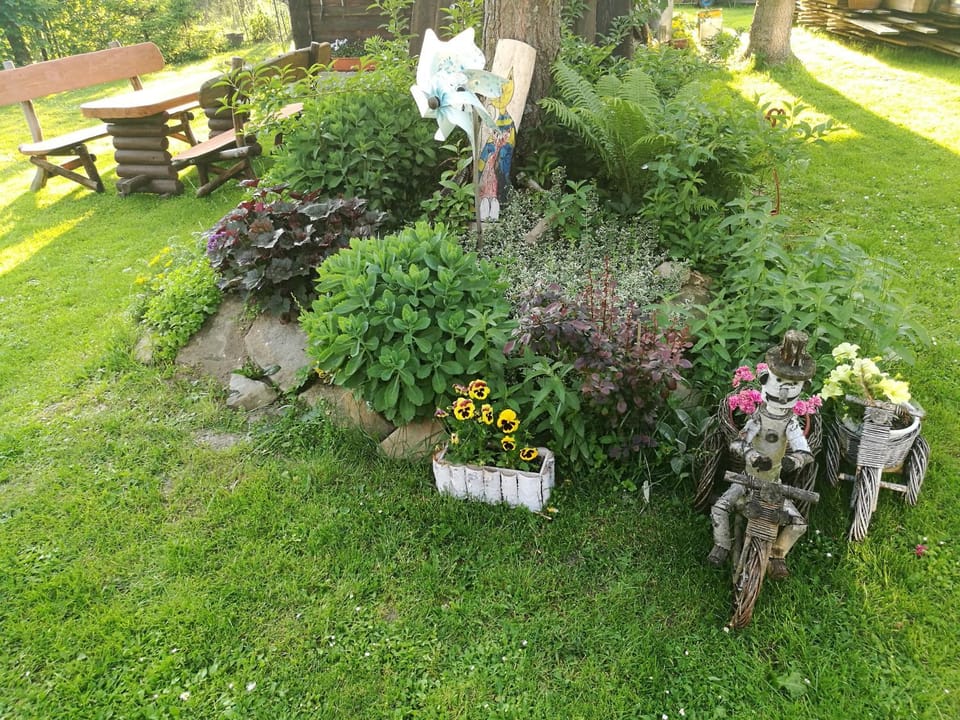 Bieszczadzki Zakątek :-) Farm Stay in Poland