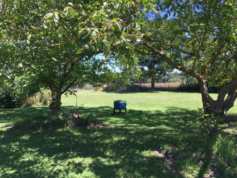 Jolie halte normande Vacation rental in Normandy