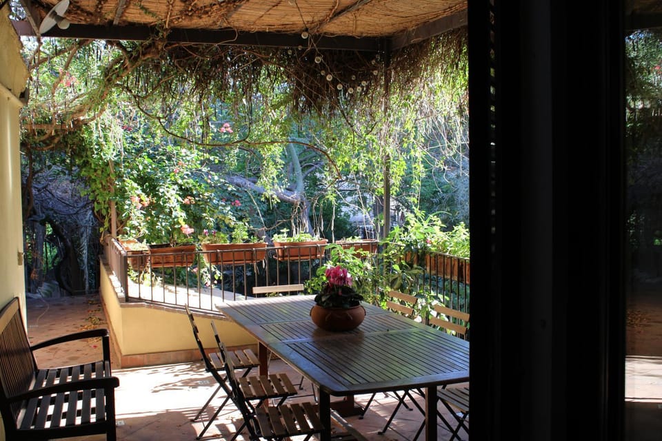 Day, Garden, Garden view