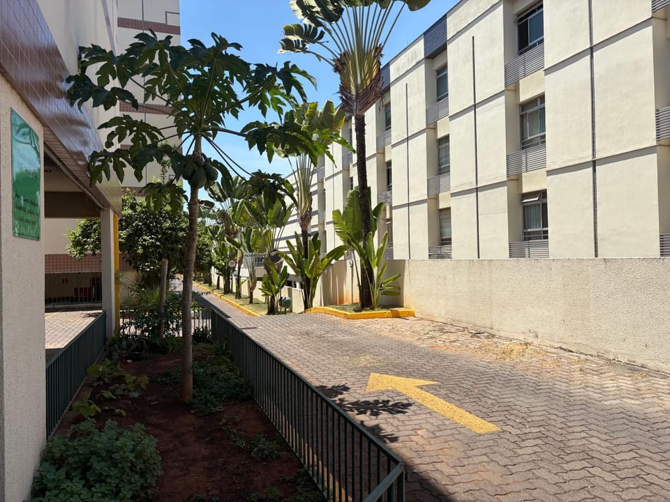 Property building, Day