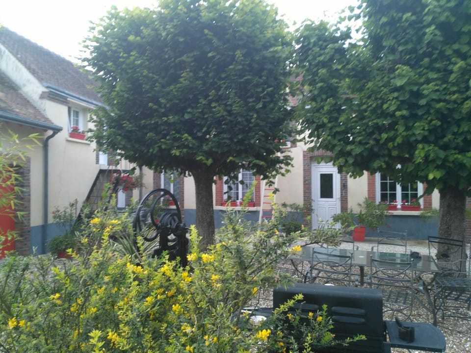 Property building, Garden view