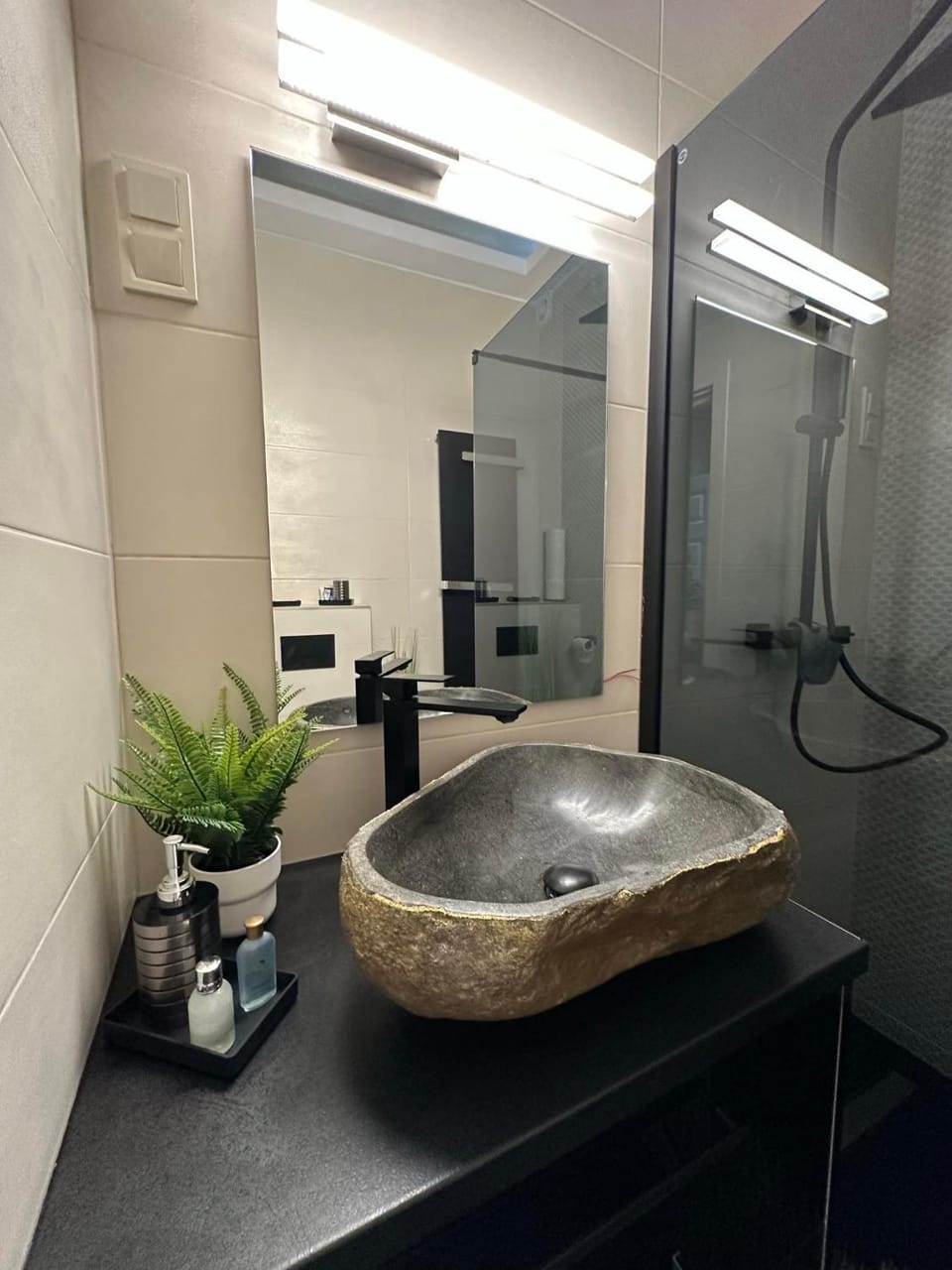 Shower, Toilet, Bathroom