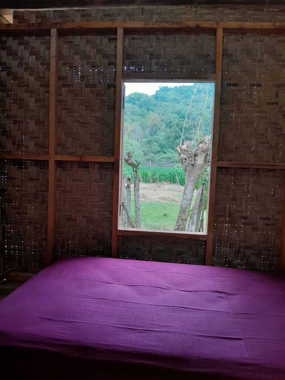 Sollo Sollo Homestay Bed and Breakfast in West Nusa Tenggara, Indonesia