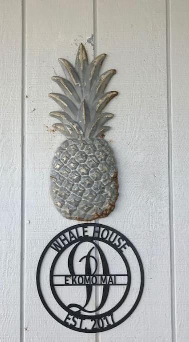 Stunning Ocean Views - Whale House Hawaii House in Hawaiian Paradise Park
