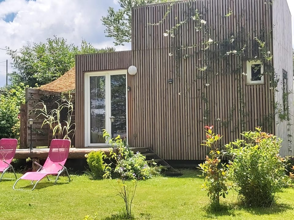Patio, Garden