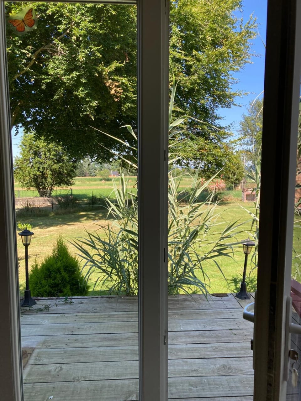 Garden view