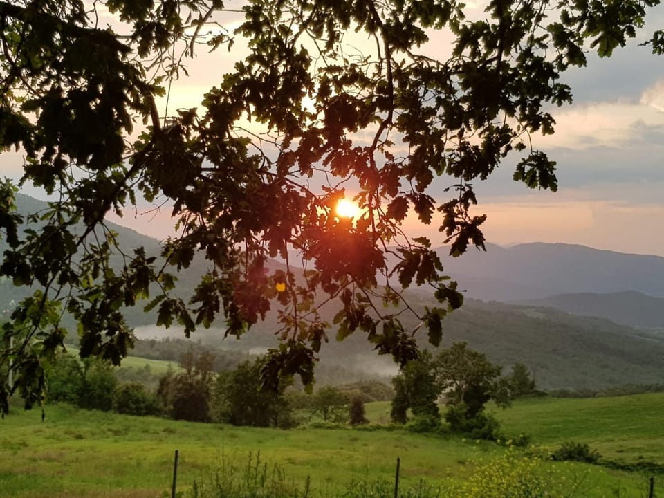 Natural landscape, Sunset