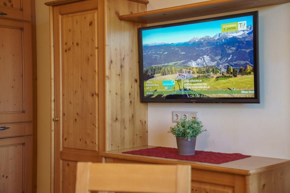 TV and multimedia