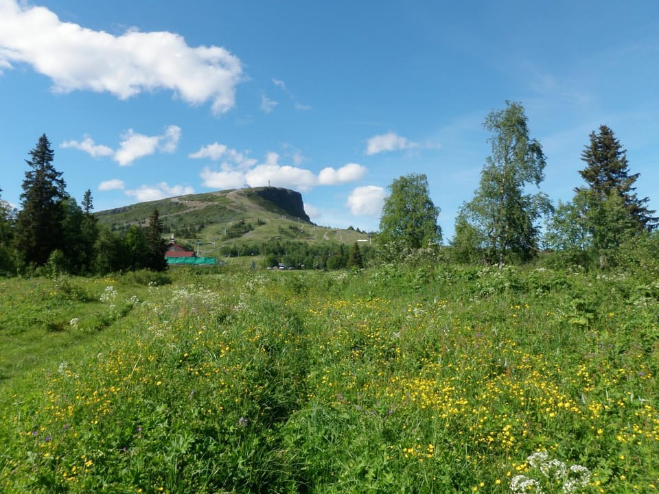 Natural landscape