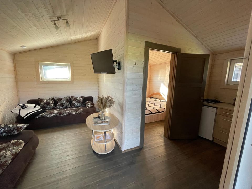 TV and multimedia, Kitchen or kitchenette, Living room, Photo of the whole room, Seating area