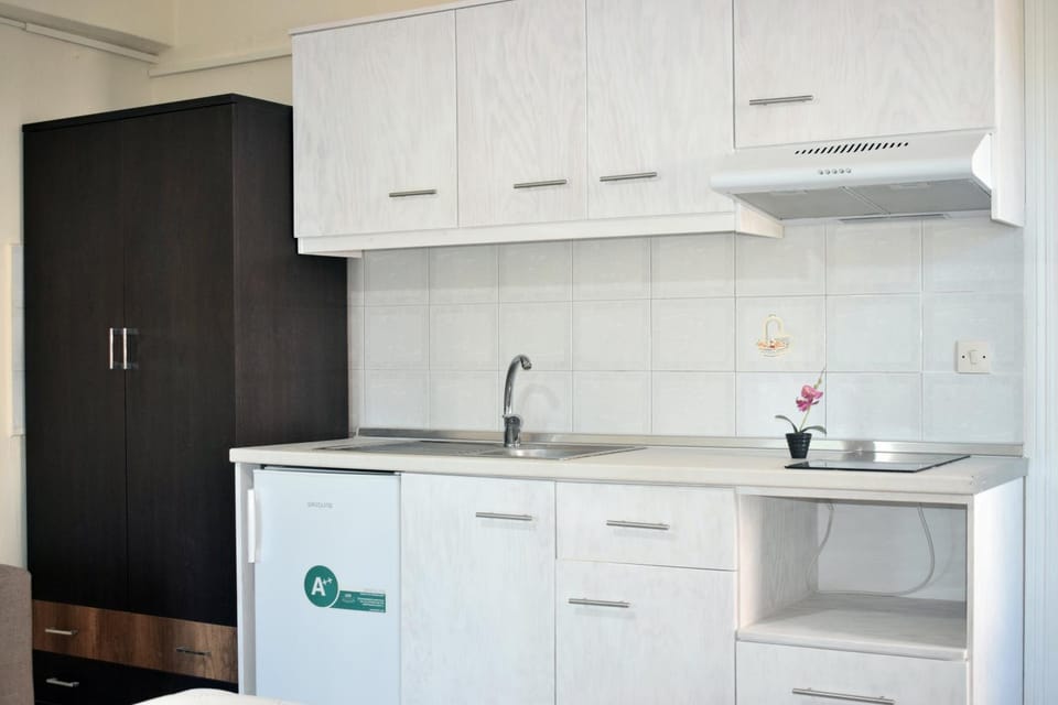 Fotini's Studios 1 Apartment in Halkidiki