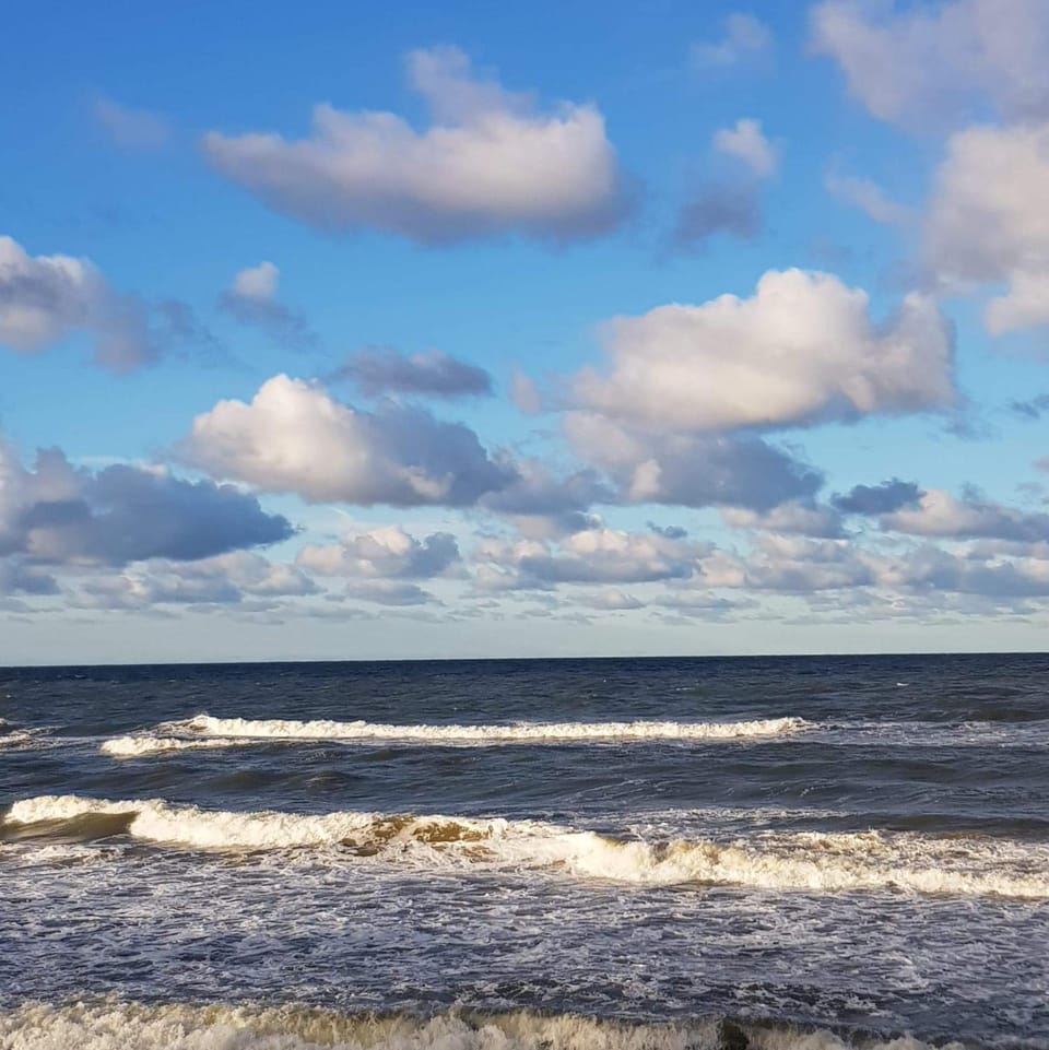 Windsurfing, Sea view, Sports