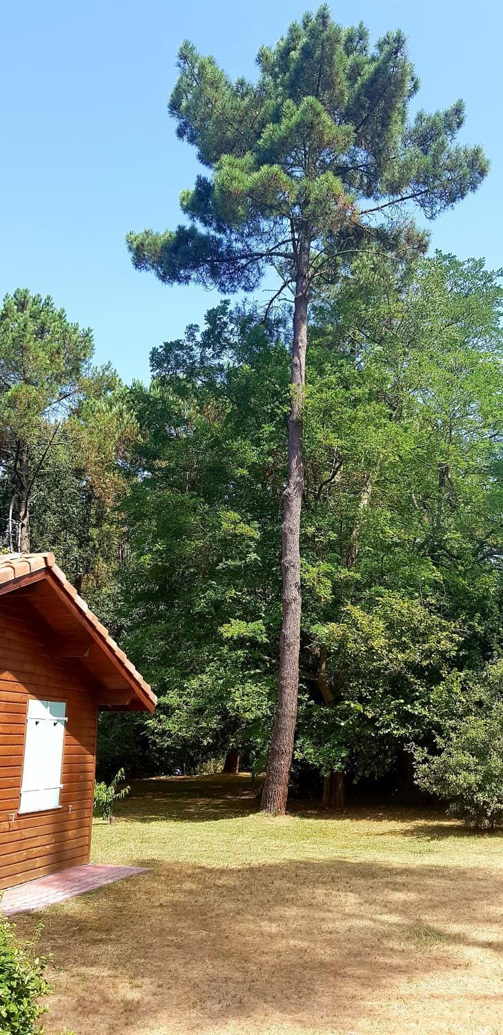 Chalet Saint Julien en Born Chalet in Saint-Julien-en-Born