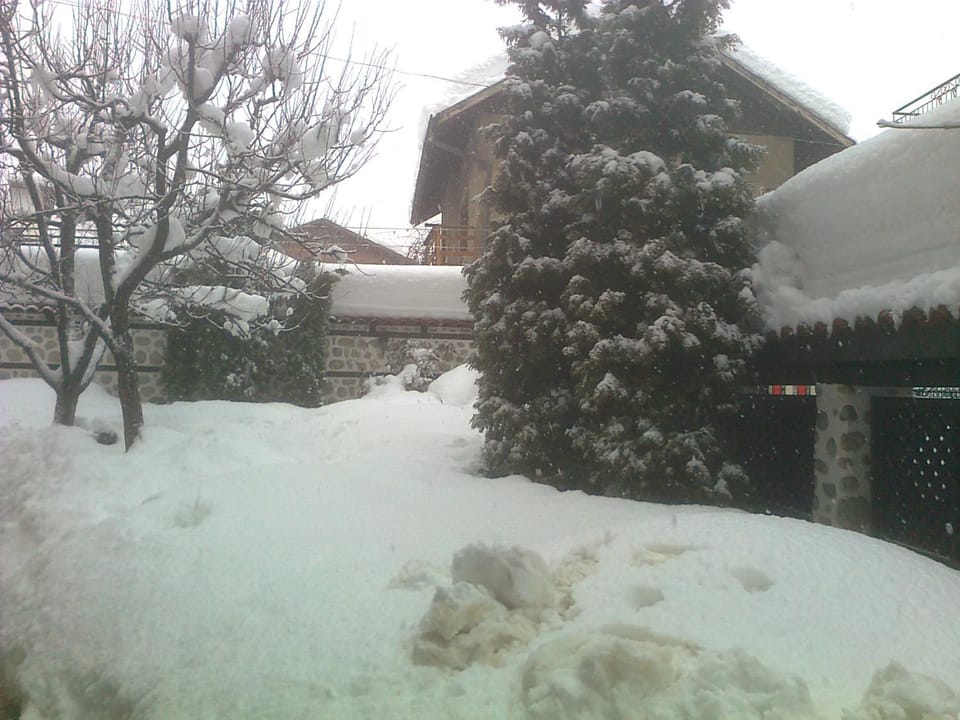 Winter, BBQ facilities, Garden, Garden view