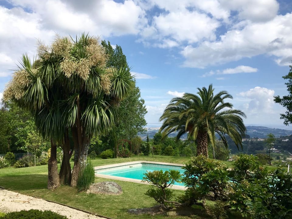 Garden, Pool view, Swimming pool