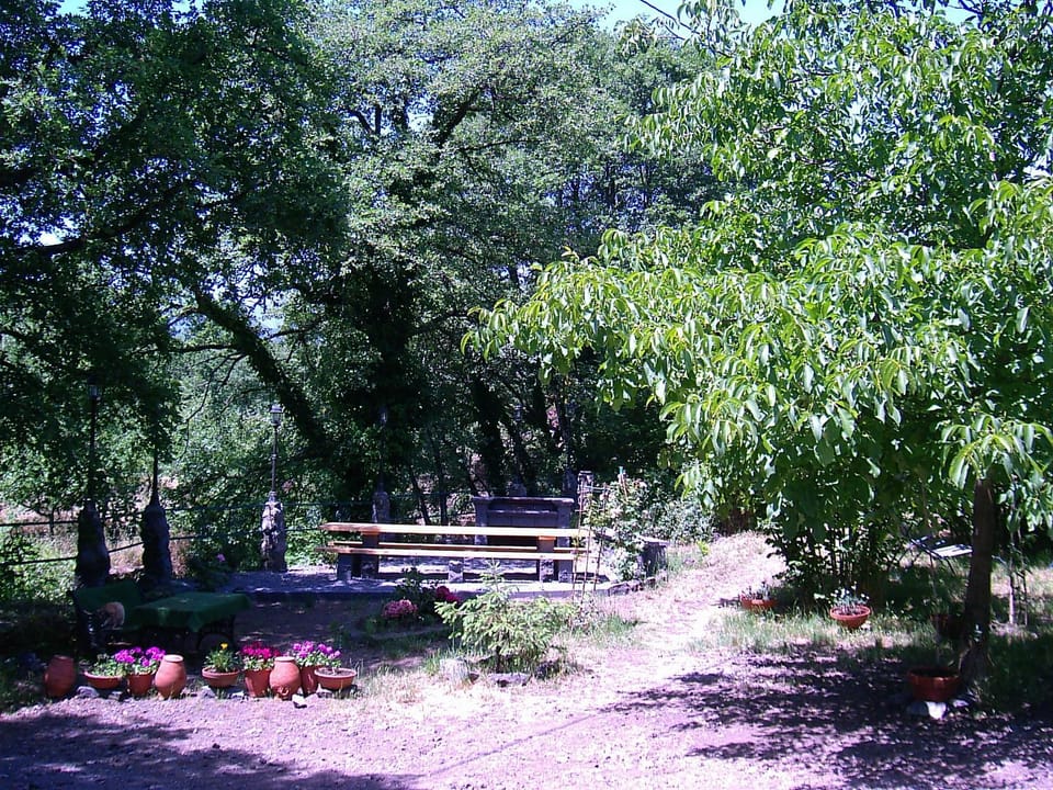Natural landscape, Garden, Banquet/Function facilities, Hiking