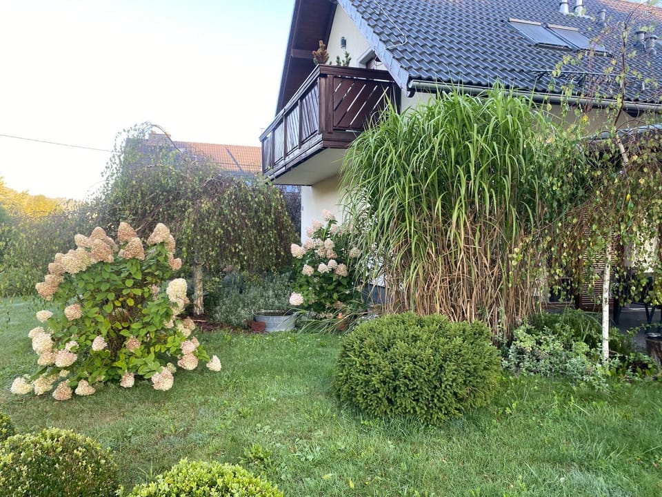 Apartamenty ANNA Apartment in Poland