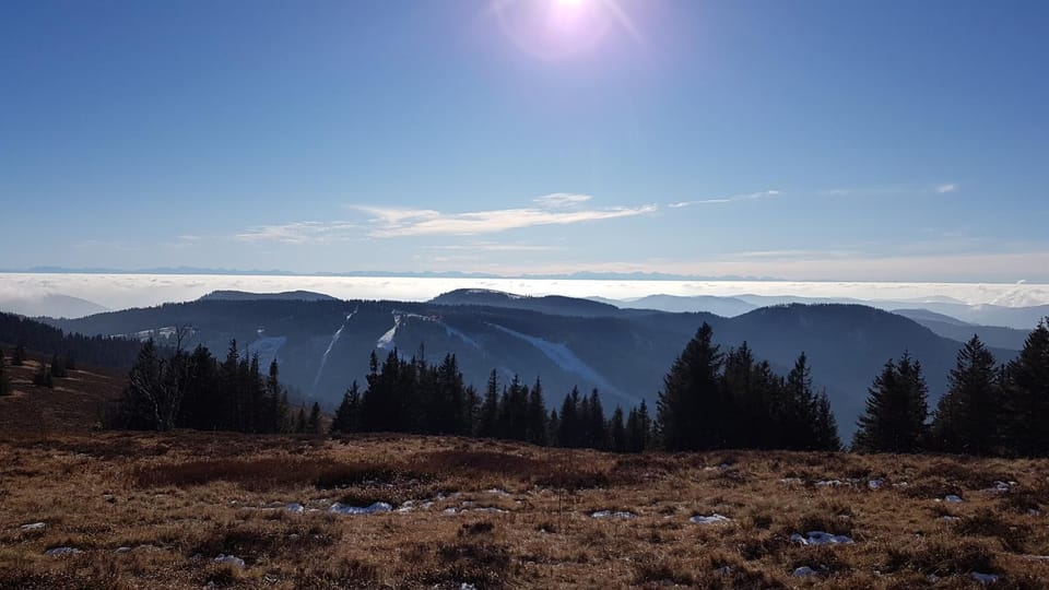 Mountain view