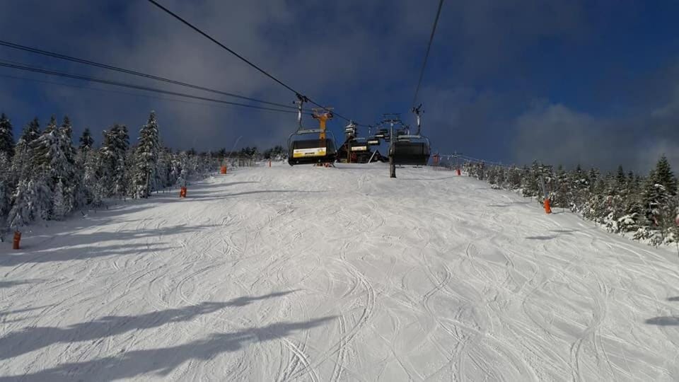 Skiing