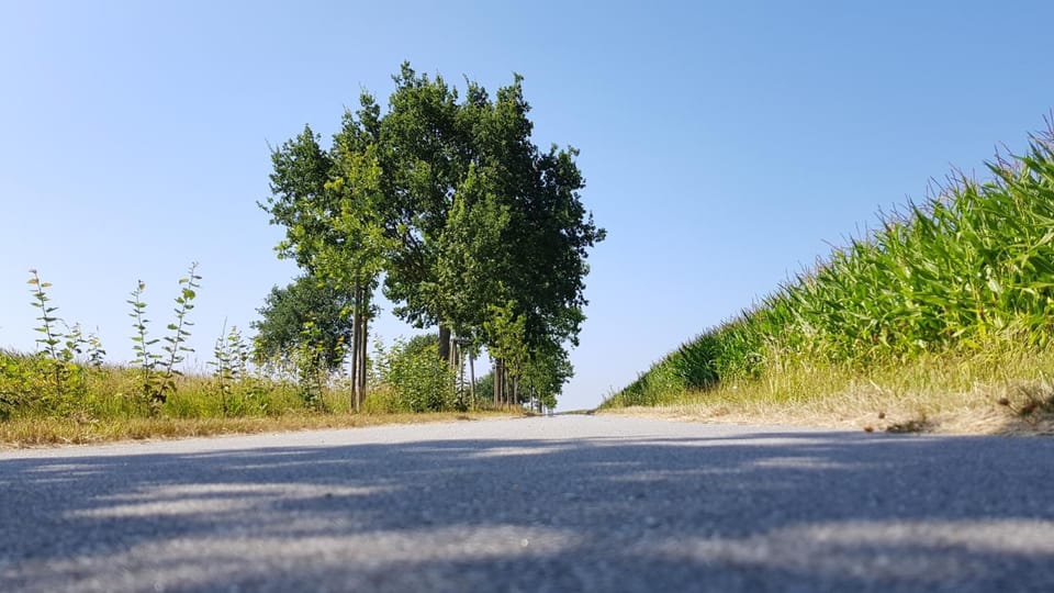 Natural landscape, Cycling